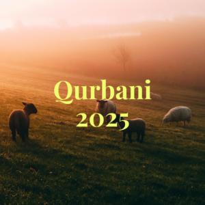 Qurbani 2025 - India